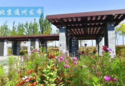 面積超400畝！通州又添休閑新地標(biāo)，城市綠肺開門迎客
