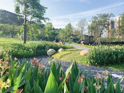 集生態(tài)種植、科普體驗、觀光游樂于一體 西麗生態(tài)公園打造兒童友好游學(xué)新路徑