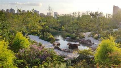 上?！耙娍p插綠”新增55座城市公園，公園總數(shù)達(dá)406座，市民暢享綠色福祉