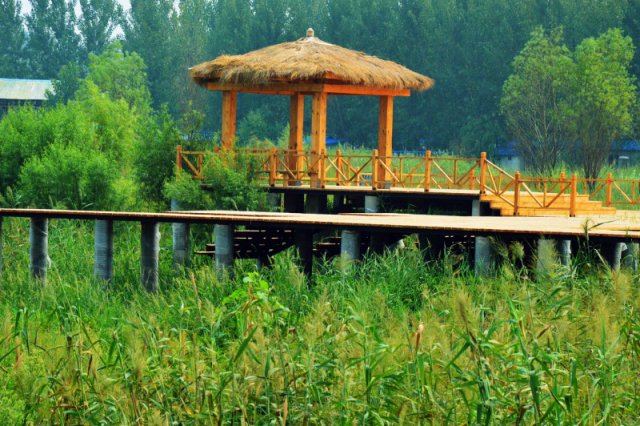 自駕玩轉(zhuǎn)河南，帳篷露營(yíng)好去處——這些公園露營(yíng)地你打卡了嗎？